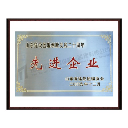 2009年先進企業(yè)